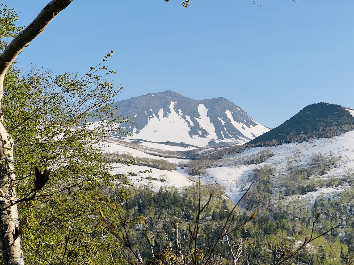 トムラウシ短縮コース日帰り登山日記