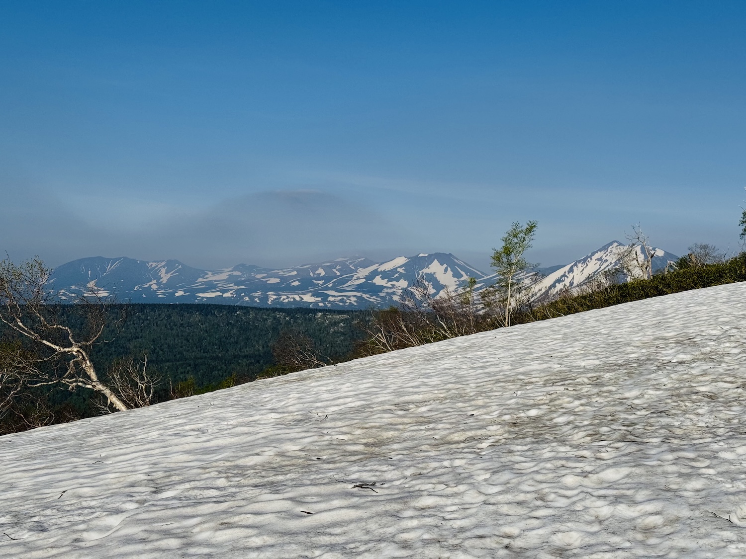 トムラウシ短縮コース日帰り登山日記