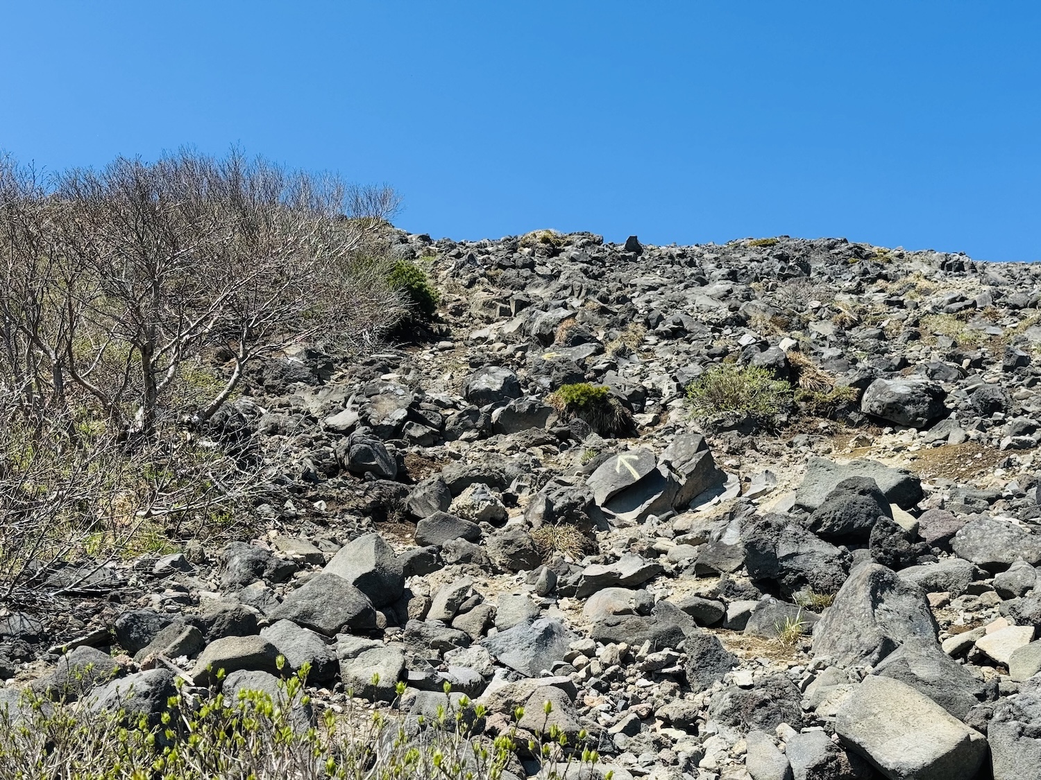 羊蹄山日帰り登山日記(登山道)