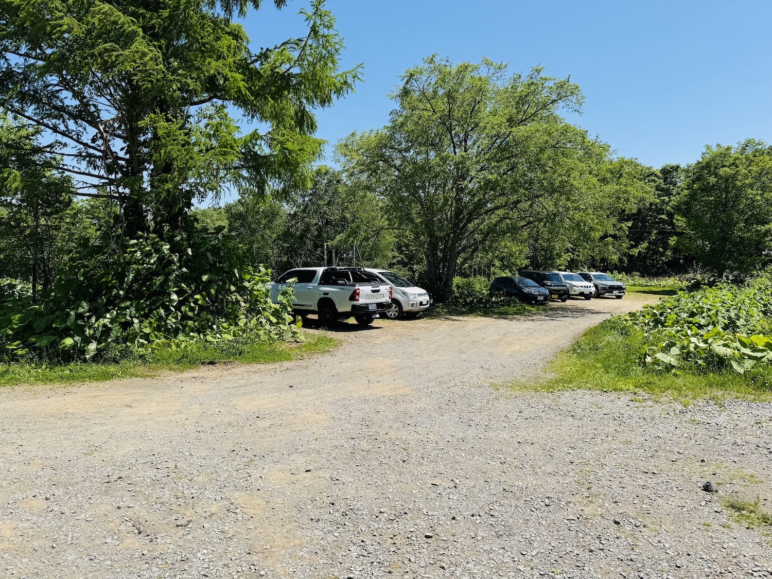 羊蹄山日帰り登山日記(京極登山口駐車場)