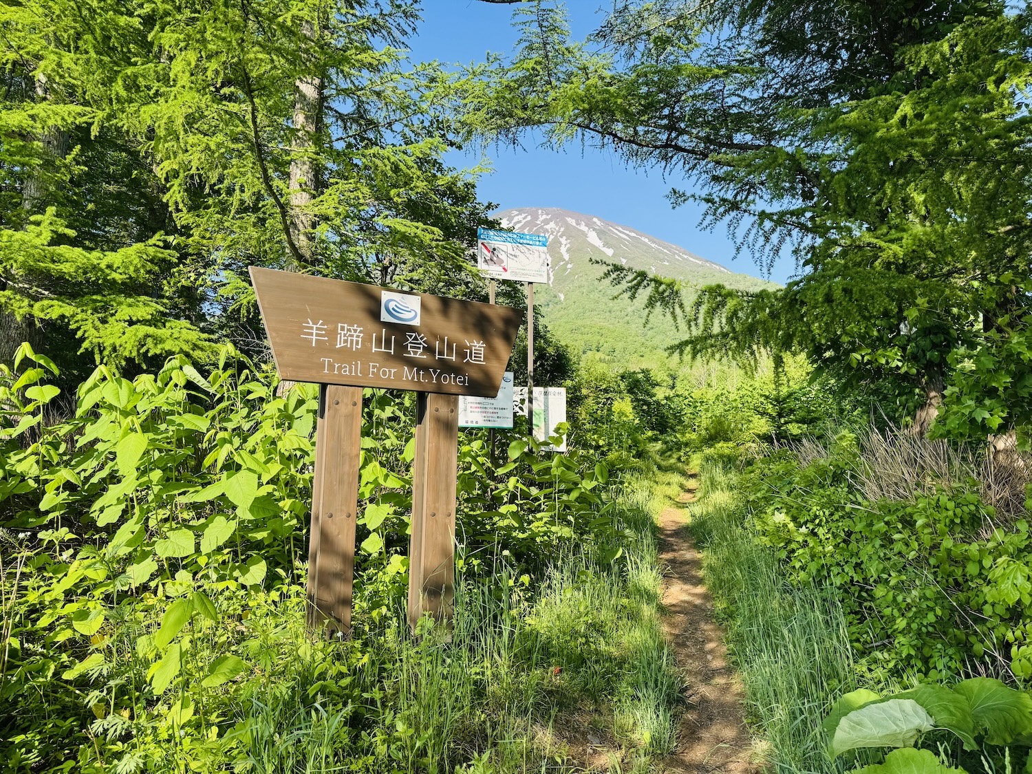 羊蹄山日帰り登山日記(京極登山口)