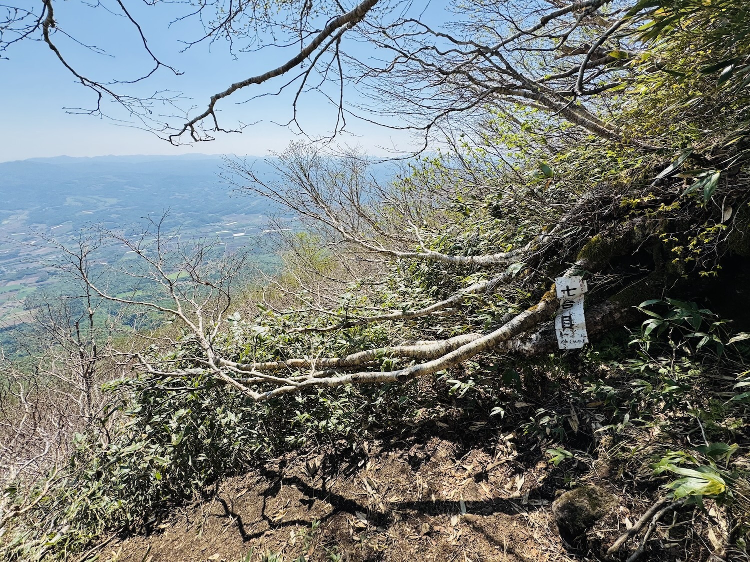羊蹄山日帰り登山日記(登山道)