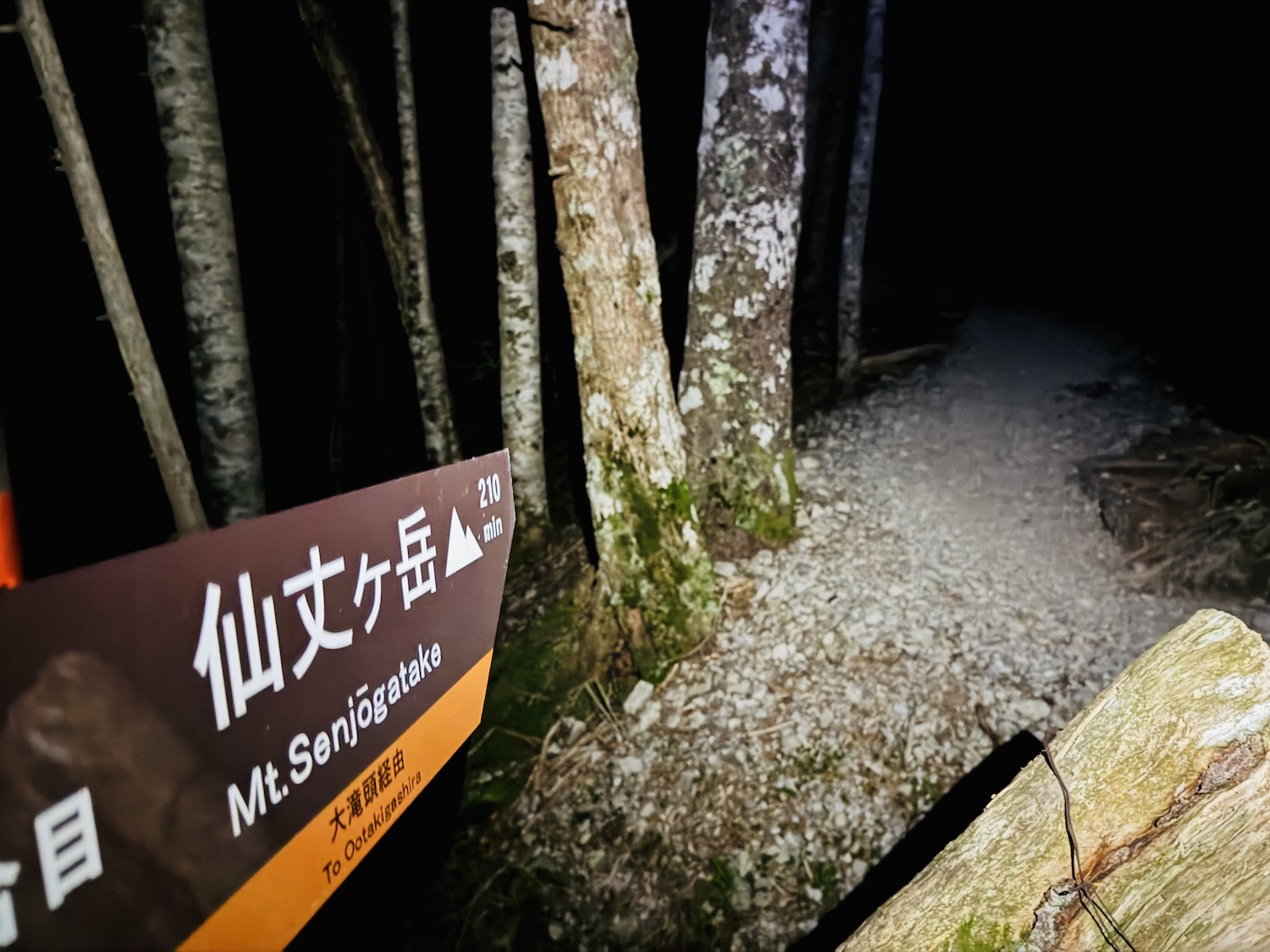 南アルプス仙塩尾根テント泊縦走登山(仙丈ヶ岳)
