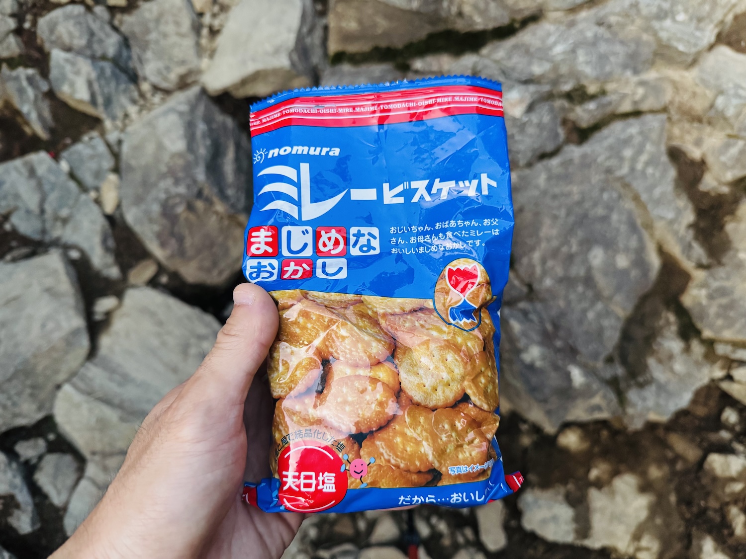南アルプス仙塩尾根テント泊縦走登山(仙丈ヶ岳)