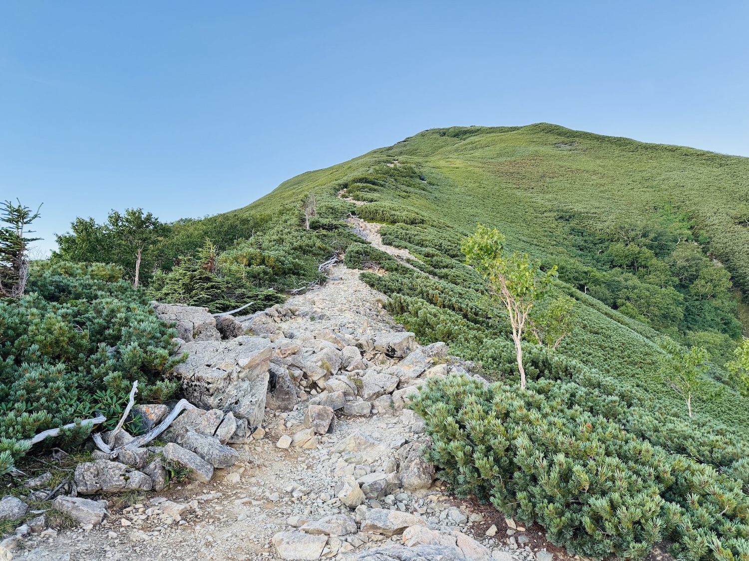 南アルプス仙塩尾根テント泊縦走登山(仙丈ヶ岳)