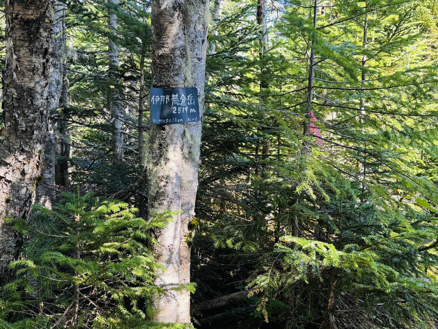 南アルプス仙塩尾根テント泊縦走登山