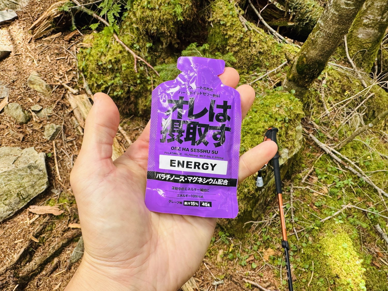 南アルプス仙塩尾根テント泊縦走登山