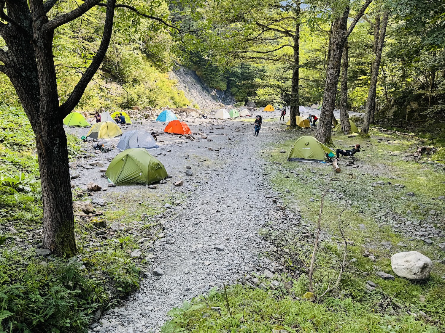 南アルプス仙塩尾根テント泊縦走登山(長衛小屋テント場)