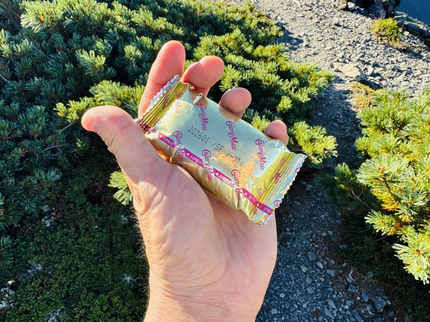 南アルプス仙塩尾根テント泊縦走登山(蝙蝠岳)