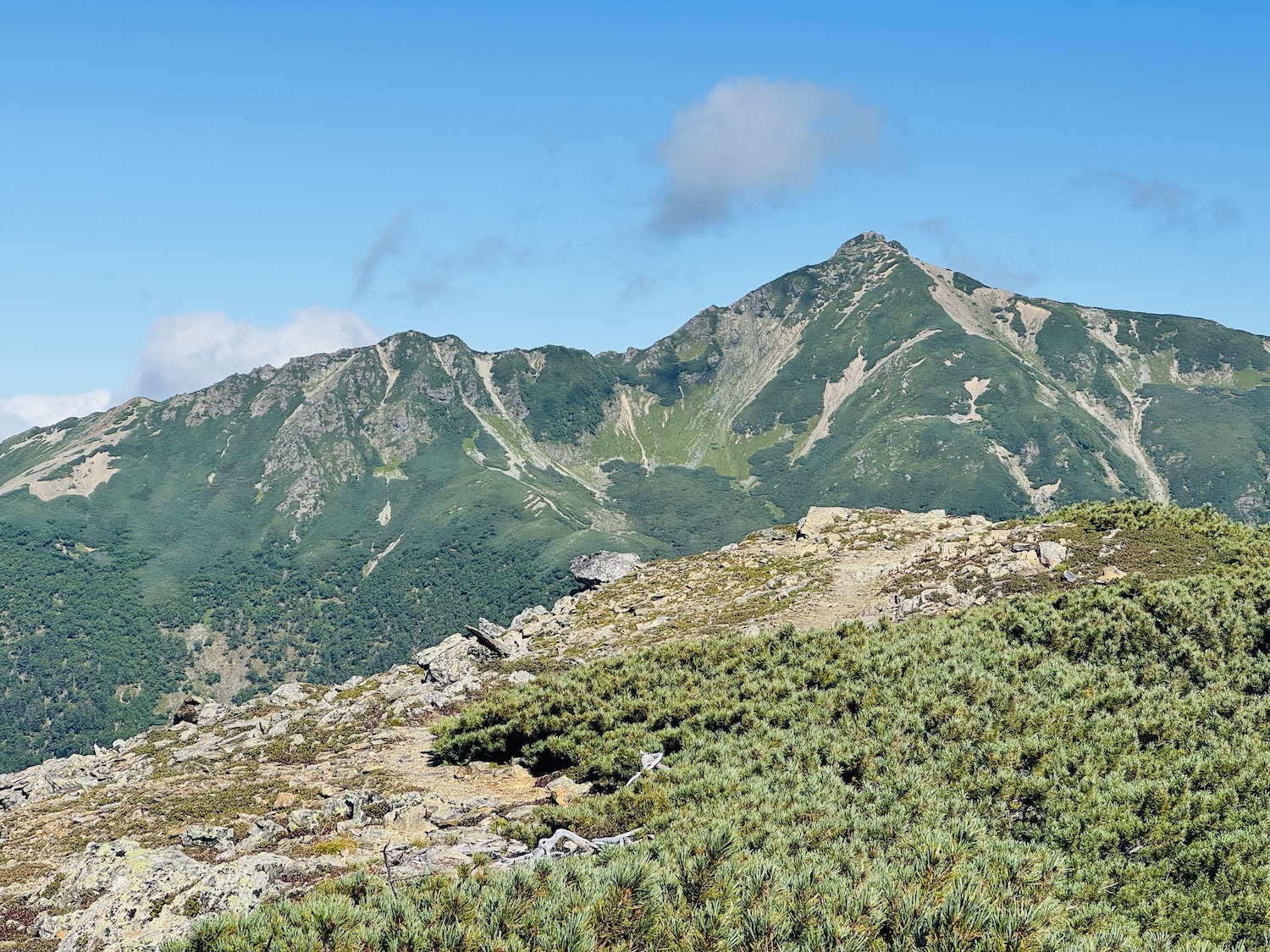 南アルプス仙塩尾根テント泊縦走登山(蝙蝠岳)