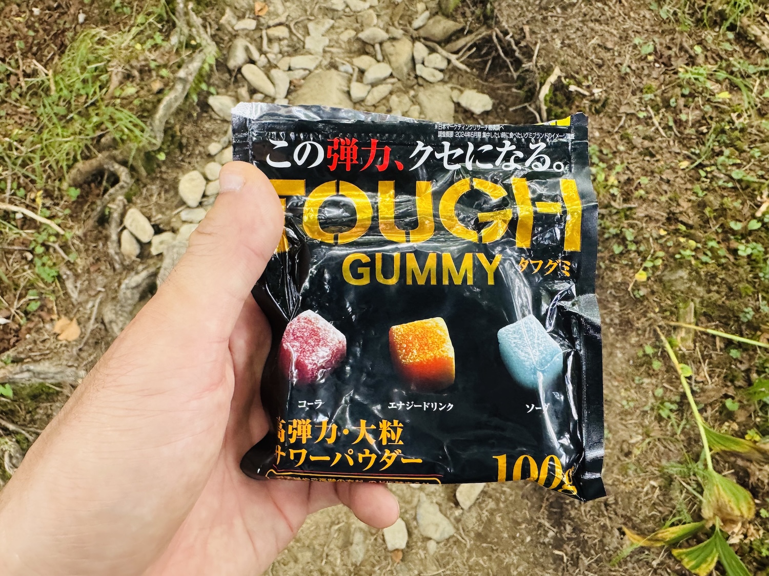 南アルプス仙塩尾根テント泊縦走登山