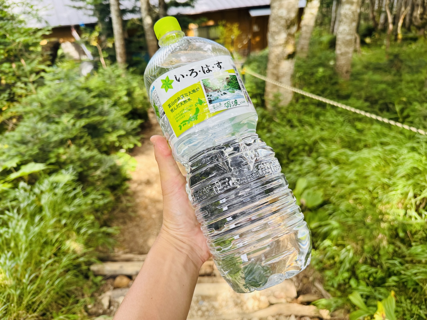 南アルプス仙塩尾根テント泊縦走登山(三伏峠小屋)