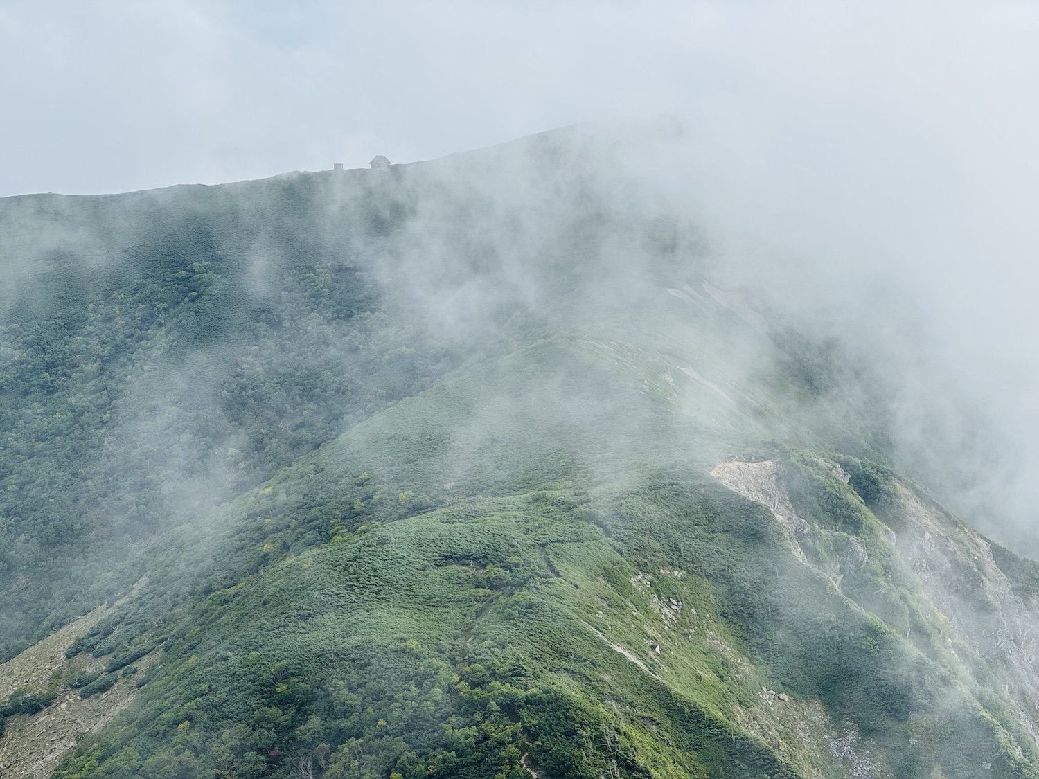 南アルプス仙塩尾根テント泊縦走登山(小河内岳)