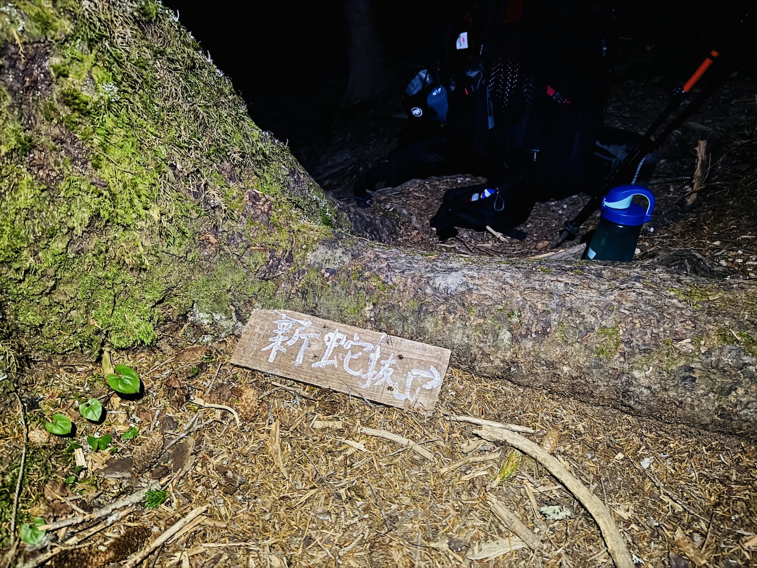 南アルプス仙塩尾根テント泊縦走登山(新蛇抜山)