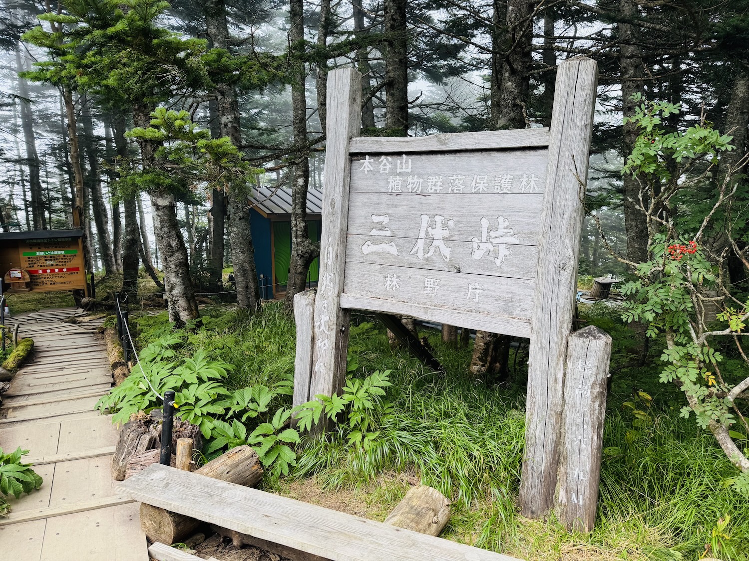 南アルプス仙塩尾根テント泊縦走登山(三伏峠小屋)