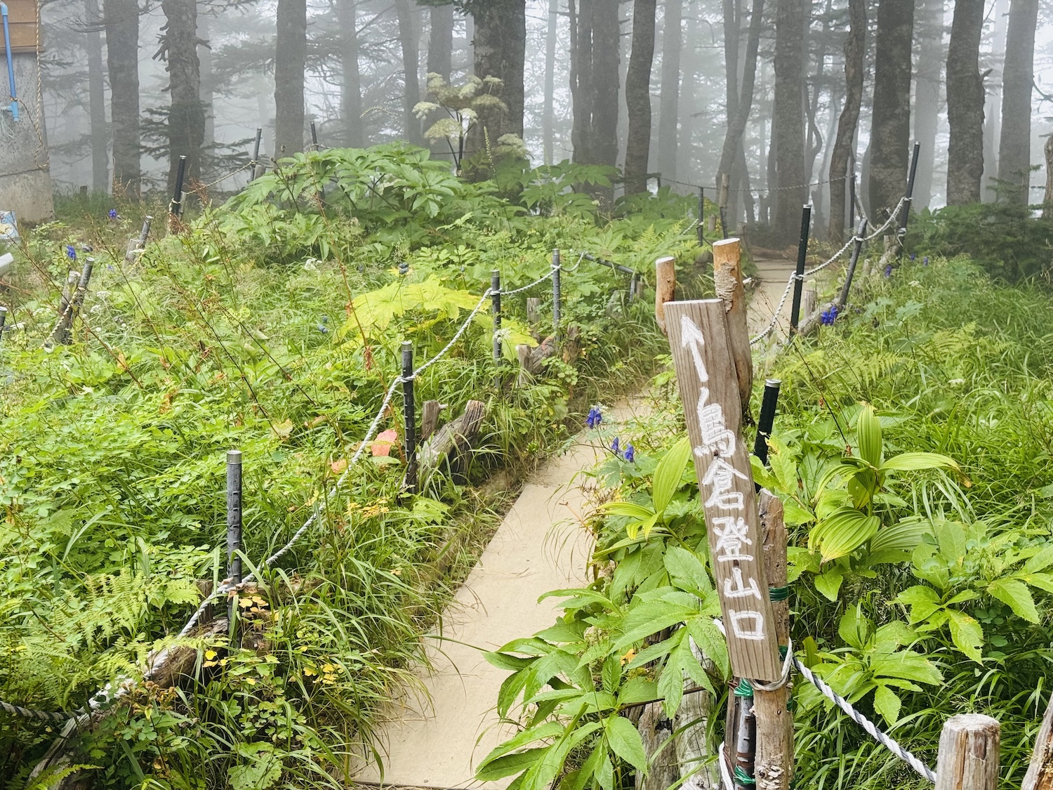 南アルプス仙塩尾根テント泊縦走登山(三伏峠小屋)