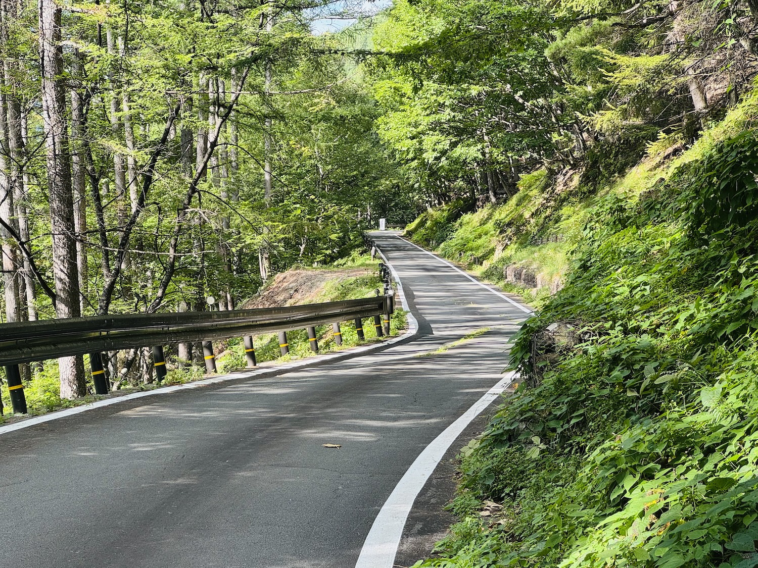 南アルプス仙塩尾根テント泊縦走登山(鳥倉ゲート)