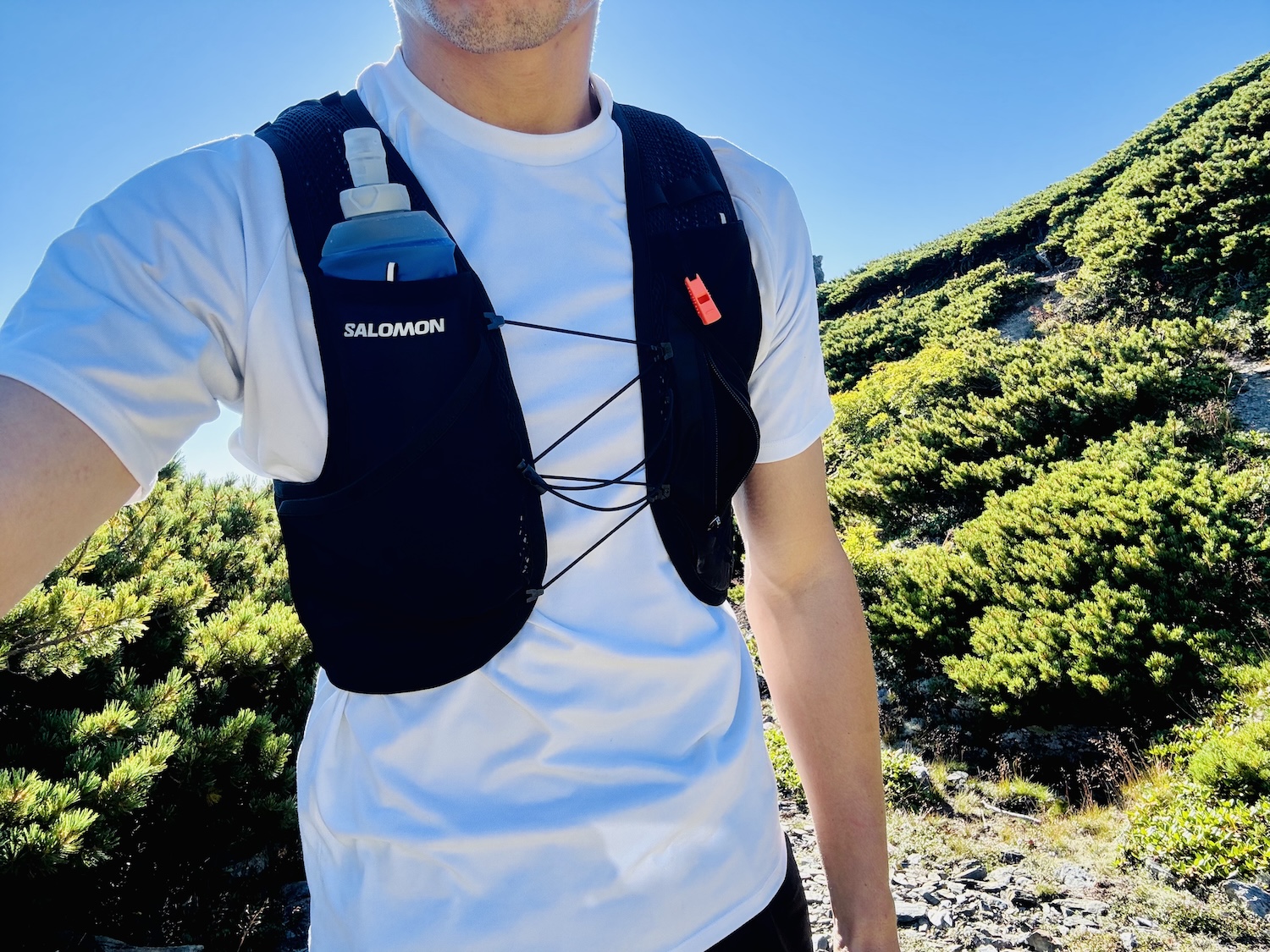 南アルプス仙塩尾根テント泊縦走登山(蝙蝠岳)
