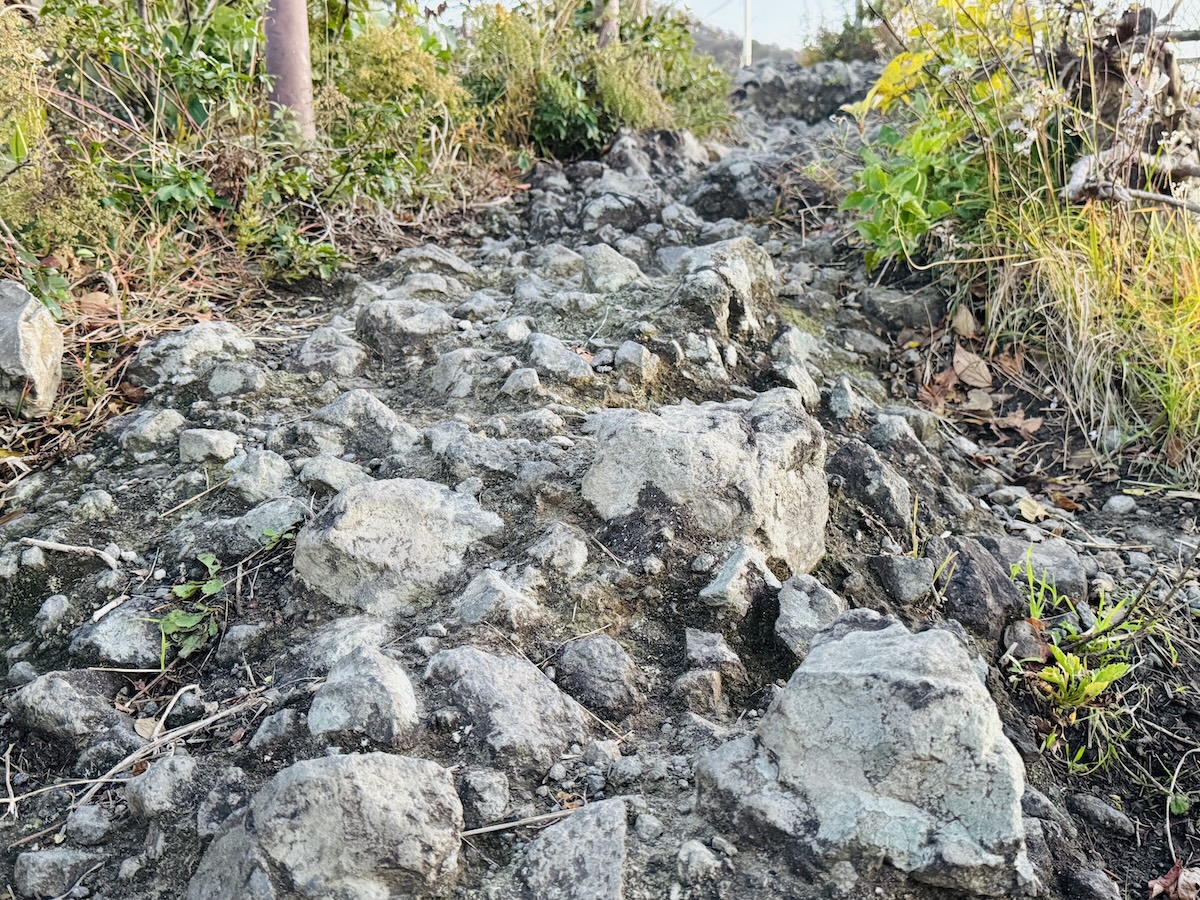 サロモン XA PRO 3D V9をレビュー