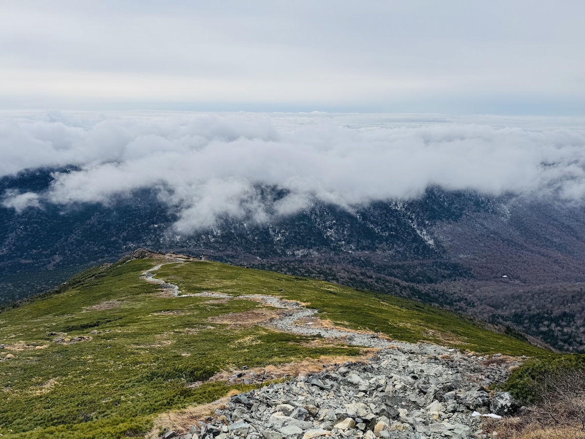 百名山・早池峰山の日帰り登山日記