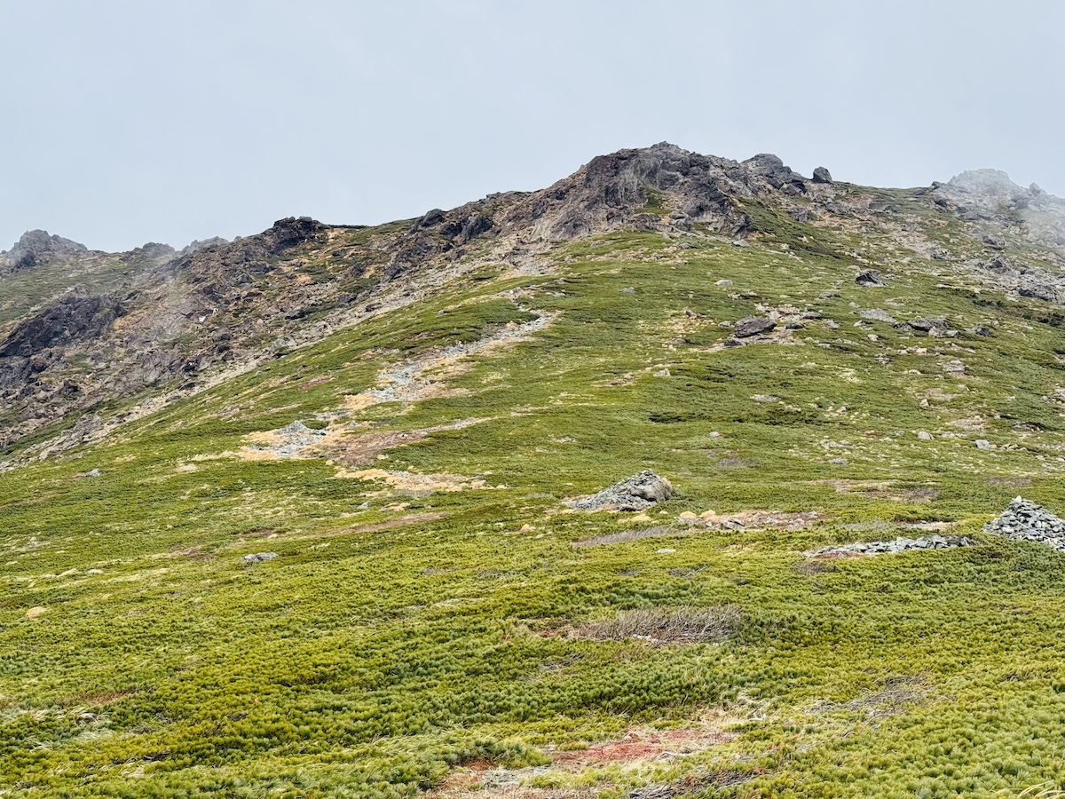 百名山・早池峰山の日帰り登山日記