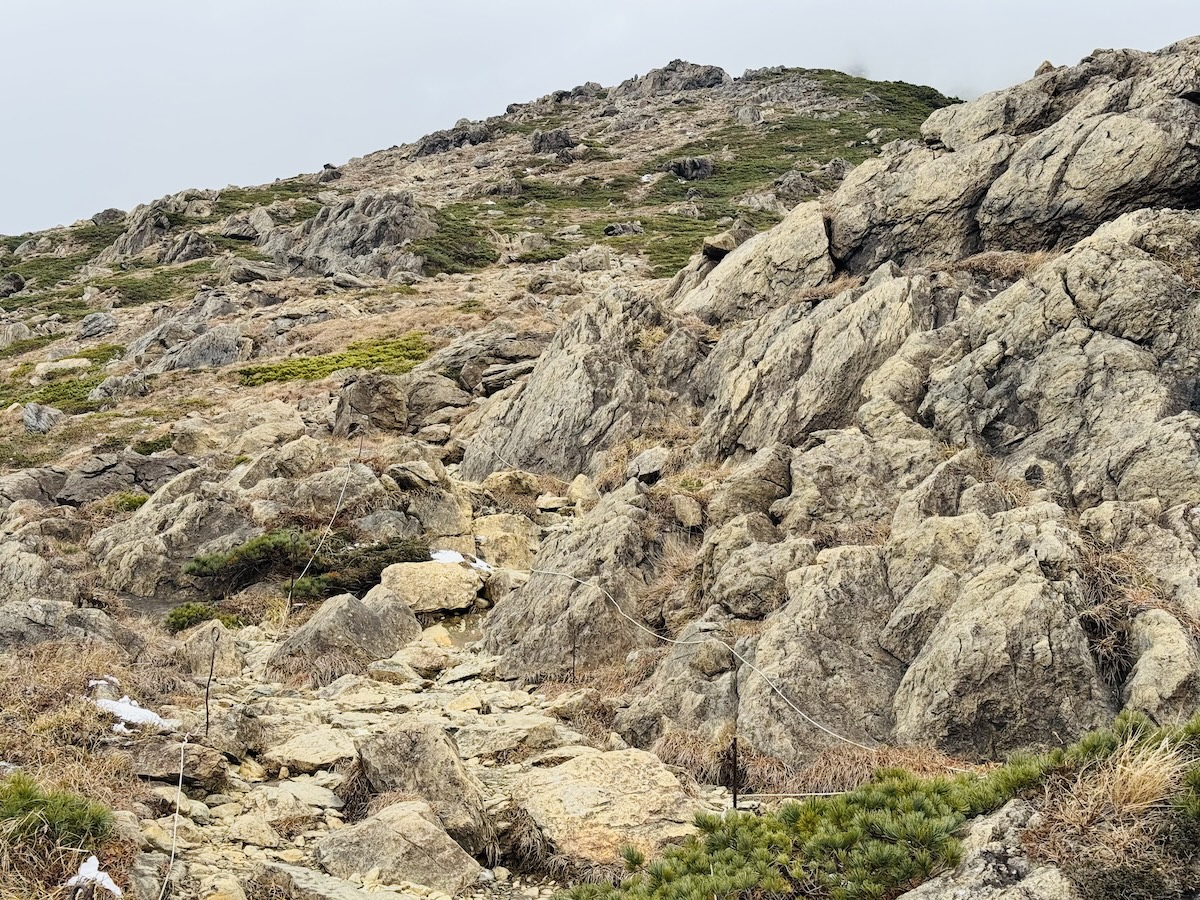百名山・早池峰山の日帰り登山日記