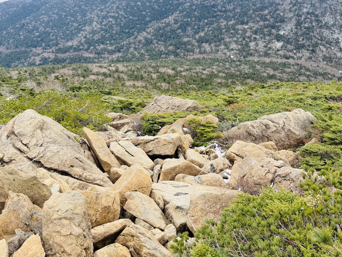 百名山・早池峰山の日帰り登山日記