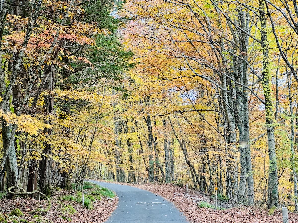 百名山・早池峰山の日帰り登山日記