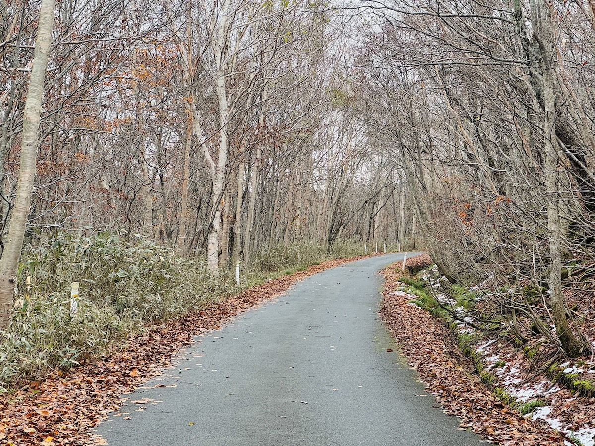 百名山・早池峰山の日帰り登山日記