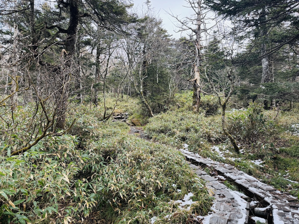 百名山・早池峰山の日帰り登山日記